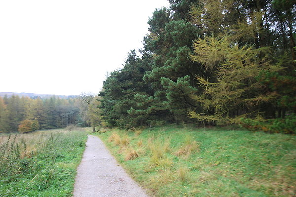 Haslingden Grane067