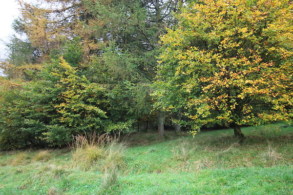 Haslingden Grane061