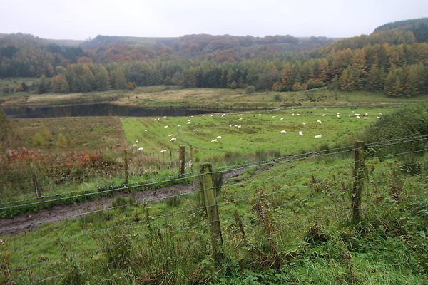 Haslingden Grane043