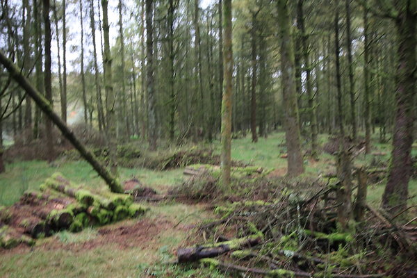 Haslingden Grane071
