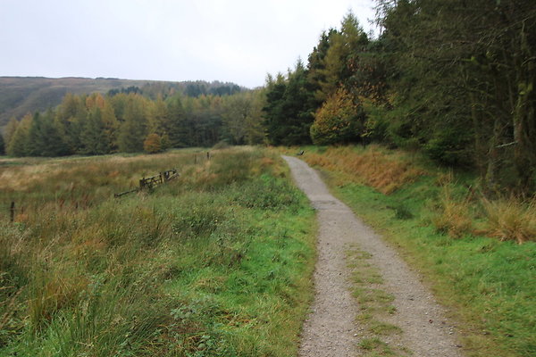 Haslingden Grane063