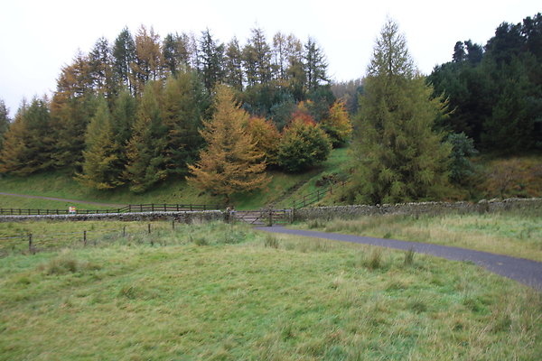 Haslingden Grane052