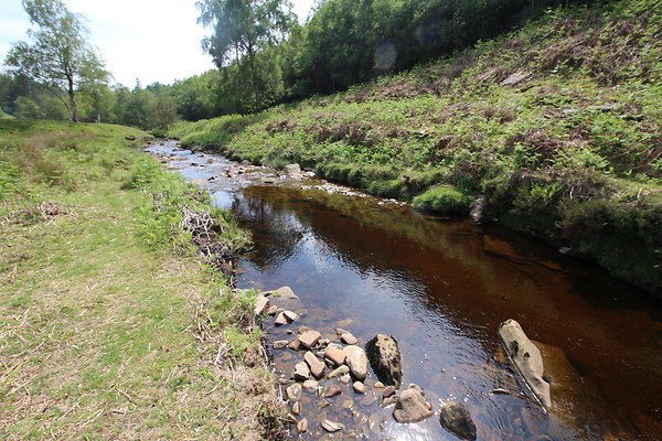 SlipperyStones030