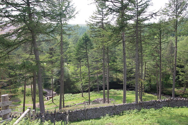SlipperyStones040