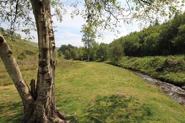SlipperyStones025