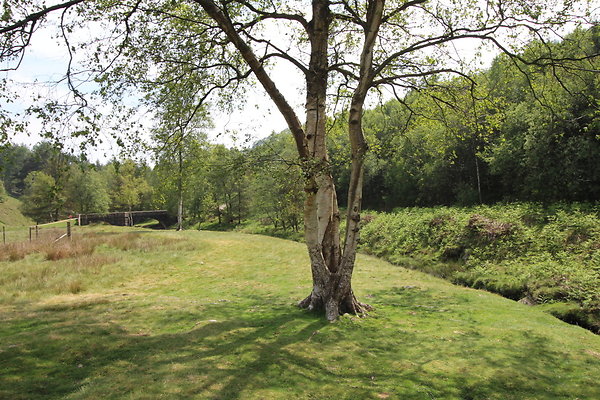 SlipperyStones026