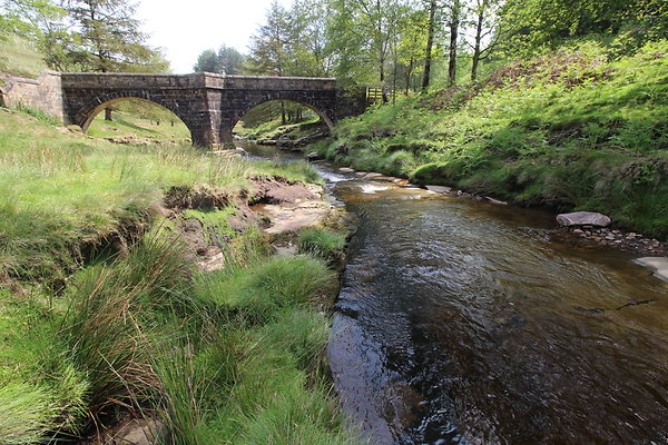 SlipperyStones019