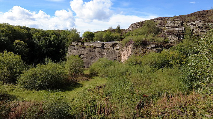 TeggsNose036