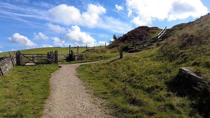 TeggsNose079