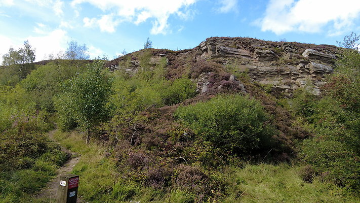TeggsNose037