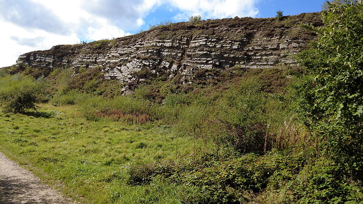 TeggsNose043