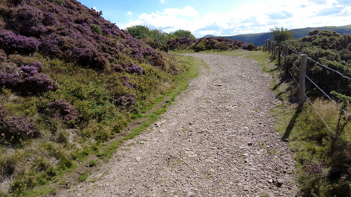 TeggsNose024