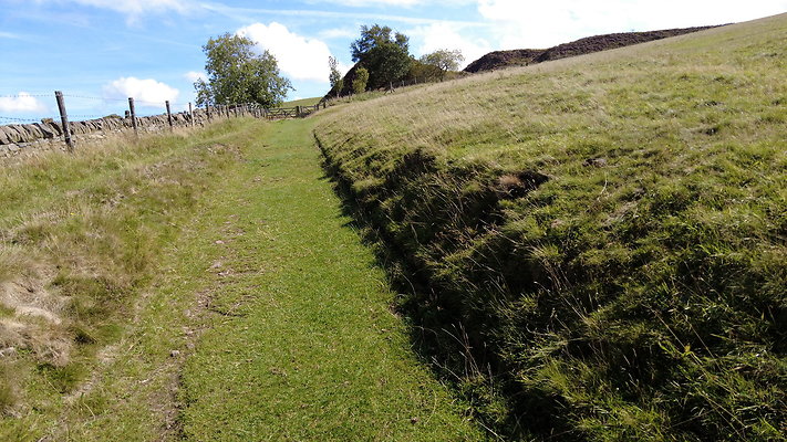 TeggsNose072