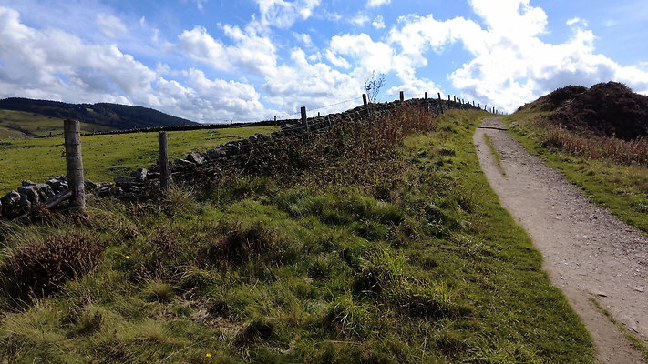 TeggsNose052