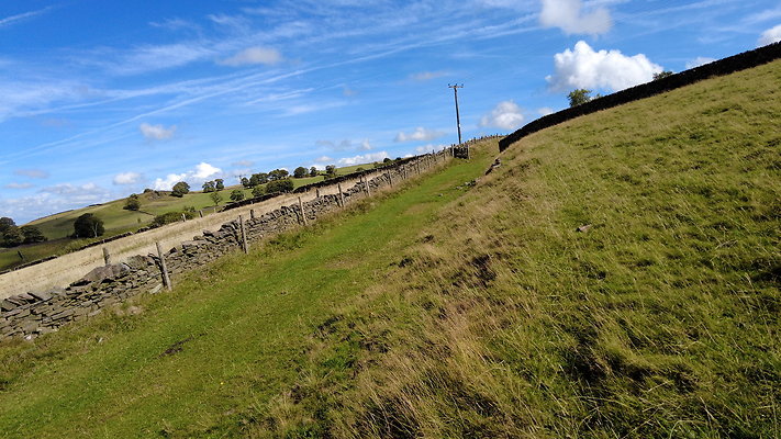TeggsNose068