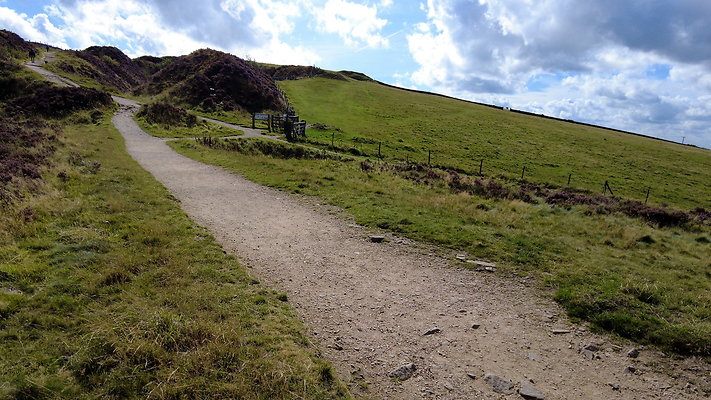 TeggsNose055