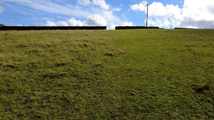 TeggsNose061