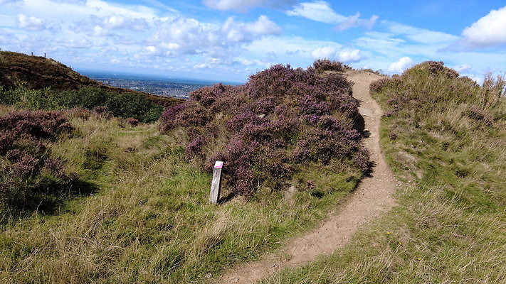 TeggsNose050