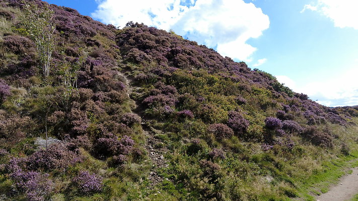 TeggsNose022