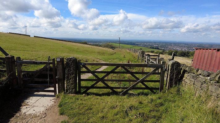 TeggsNose074