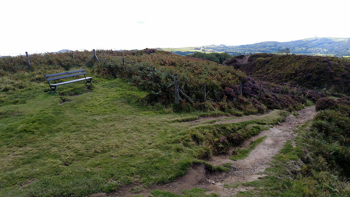 TeggsNose010