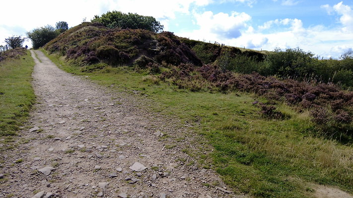 TeggsNose051