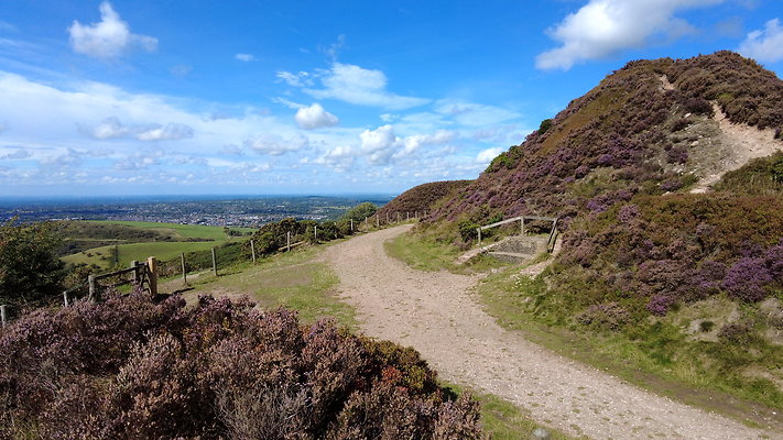 TeggsNose030