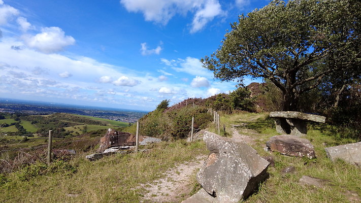 TeggsNose025