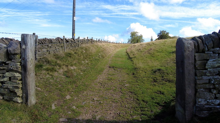 TeggsNose070