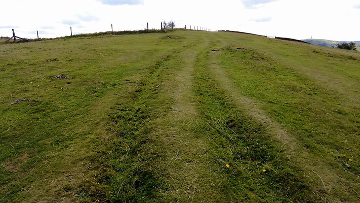 TeggsNose001