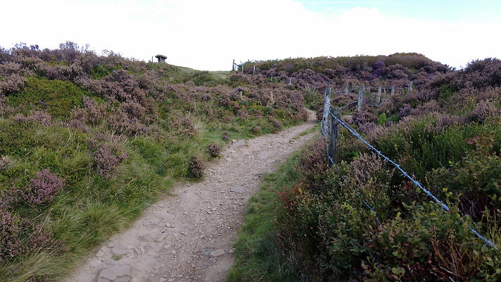 TeggsNose012