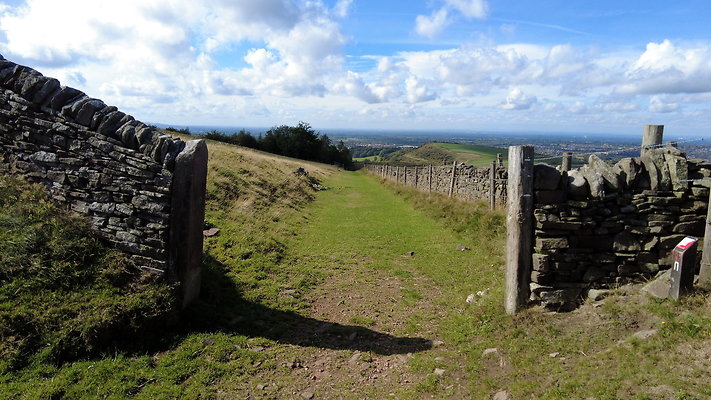 TeggsNose071