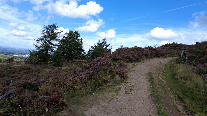 TeggsNose015