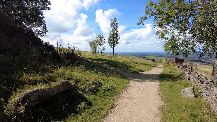 TeggsNose076