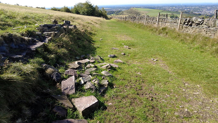 TeggsNose069