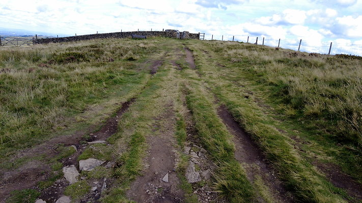 TeggsNose007