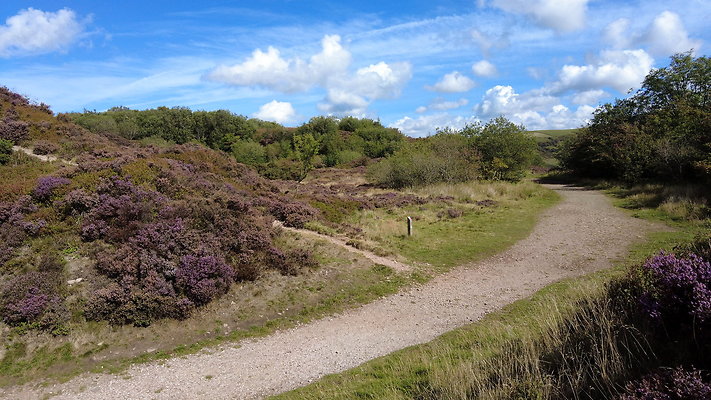 TeggsNose029