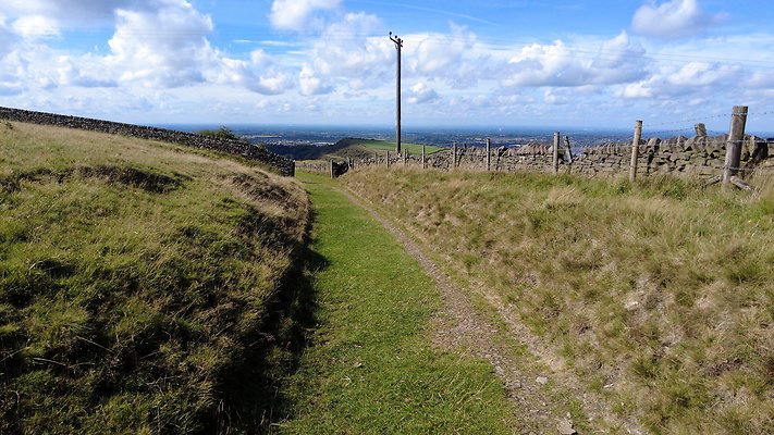 TeggsNose073