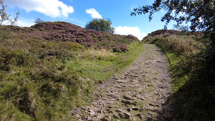 TeggsNose018