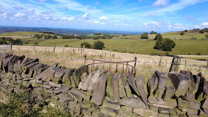 TeggsNose075