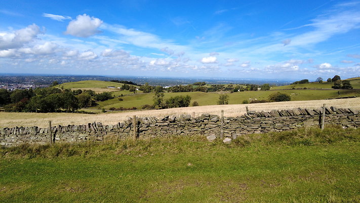 TeggsNose067