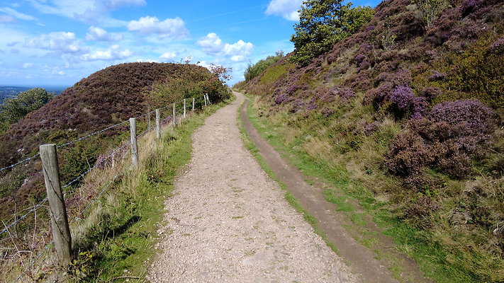 TeggsNose023