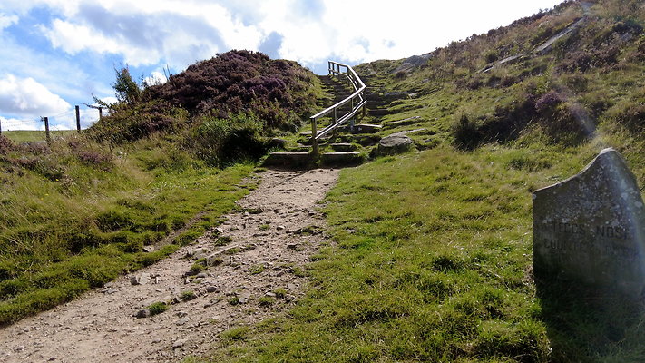 TeggsNose059