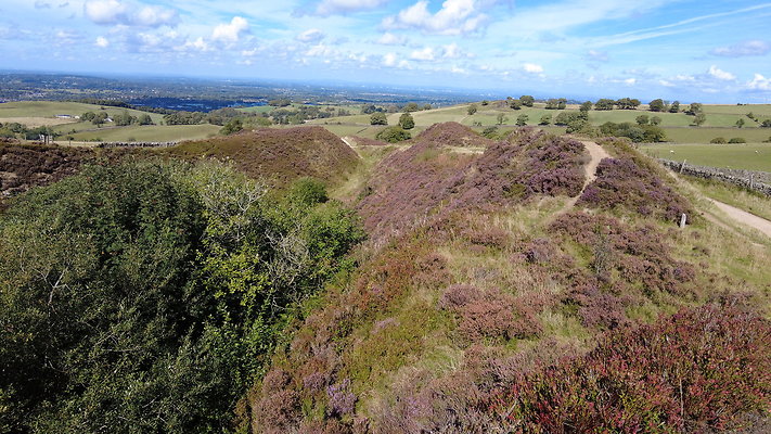 TeggsNose047