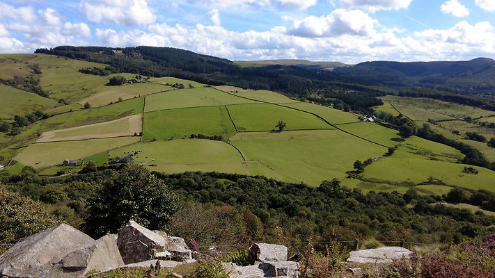 TeggsNose031