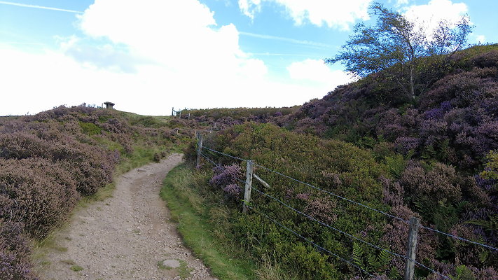TeggsNose014
