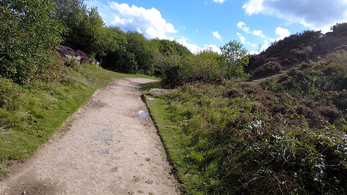 TeggsNose017