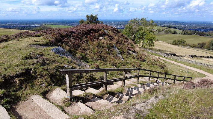 TeggsNose056