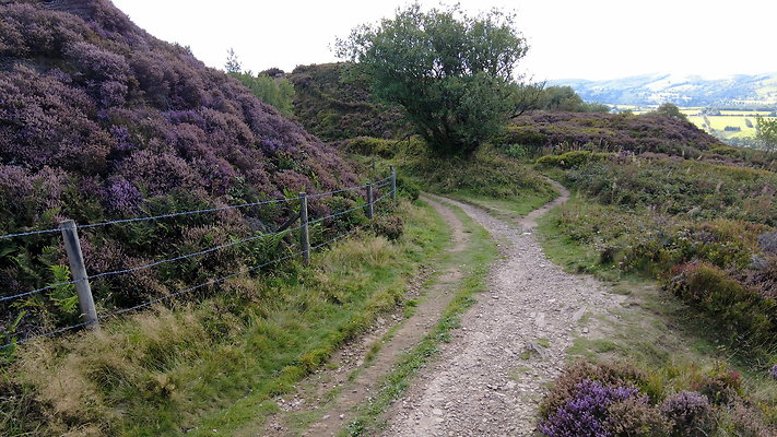 TeggsNose013