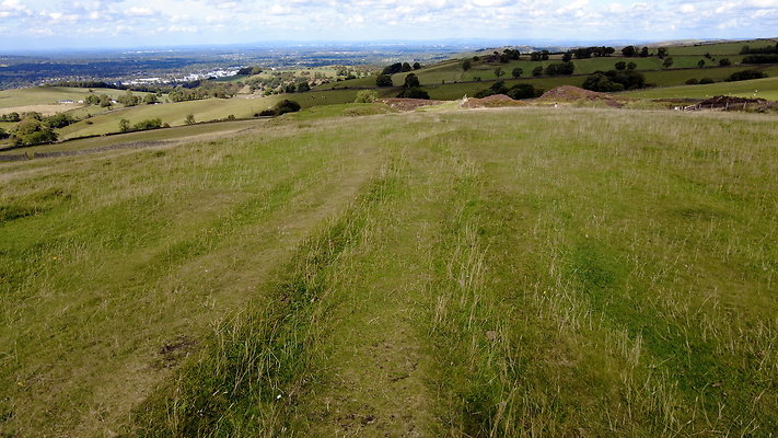 TeggsNose002